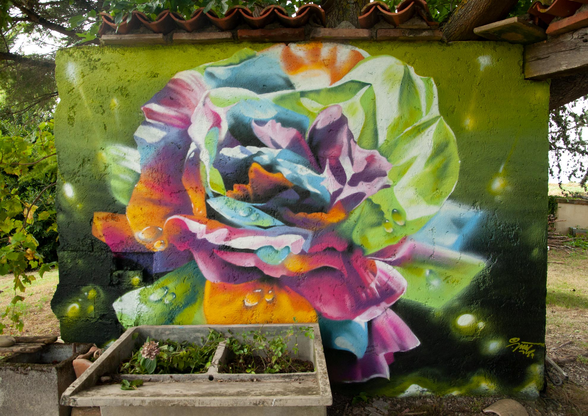 fleur jardin peinture graffiti graff decoration deco aerosol art couleur rose mur