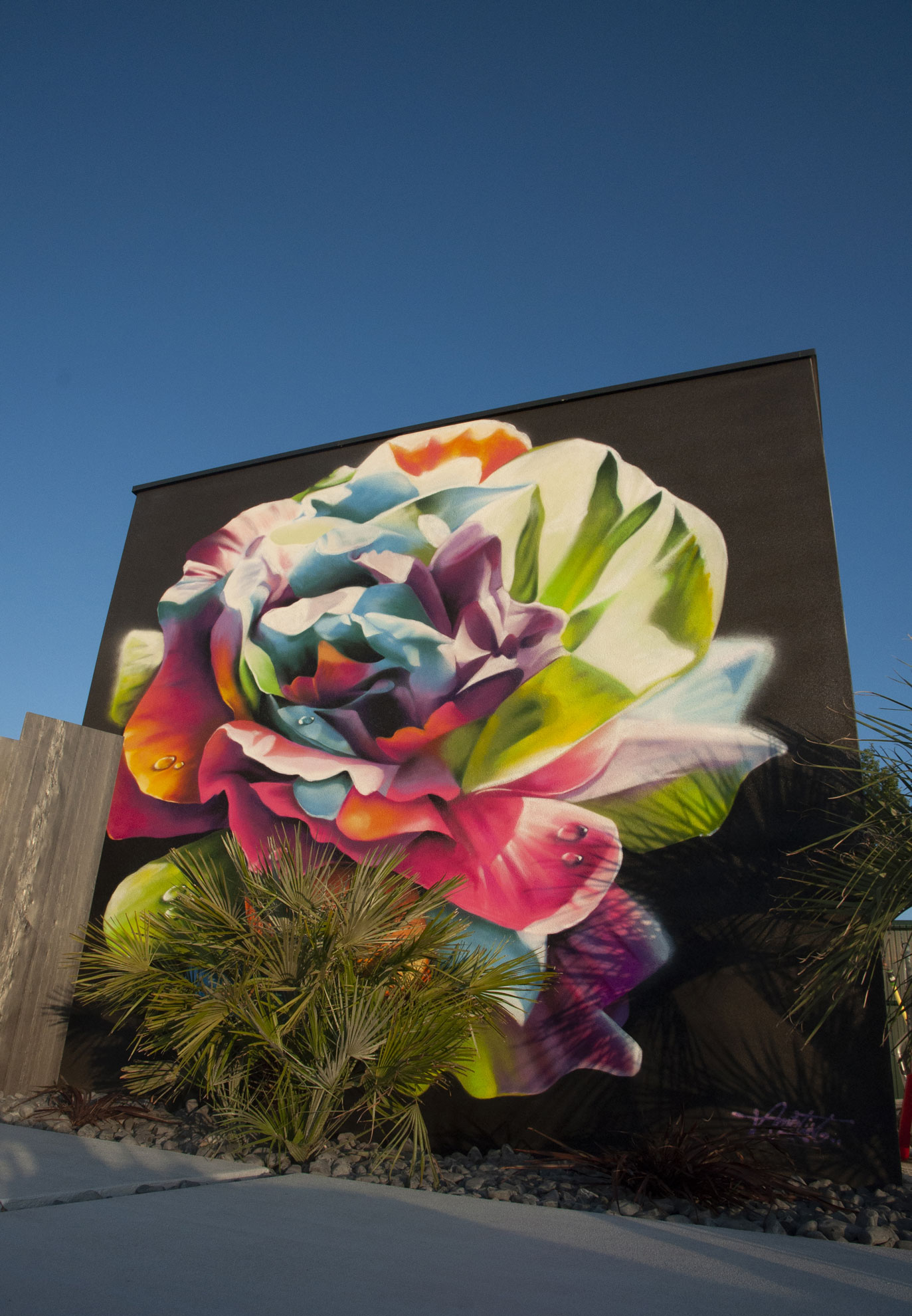 Peinture florale decoration fleur realisme couleur graffiti ametist